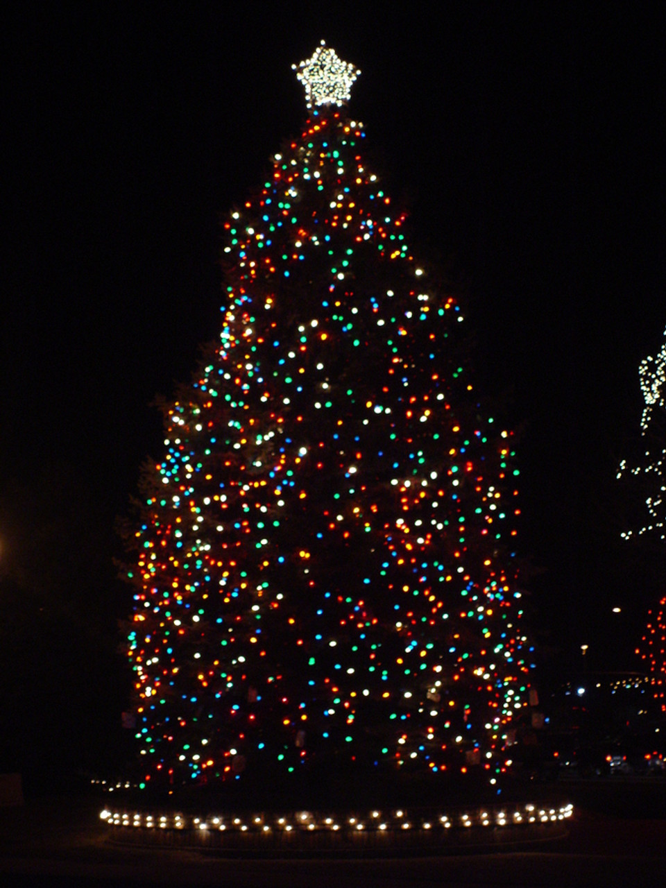 Walnut Creek Annual Christmas Tree Lighting November 8, 2024