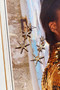 Tiana Earrings - Gold | Sage and Paige AUS.