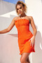 Brentwood Mini Dress - Orange | Sage and Paige AUS.