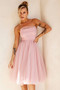 Swingin' It Midi Dress - Blush | Sage and Paige AUS.