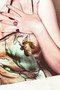Forever Time Earrings - Gold | Sage and Paige AUS.