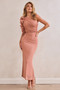 Golden Feelings Mesh Maxi Dress - Blush