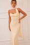 Lunaria Mesh Maxi Dress - Beige