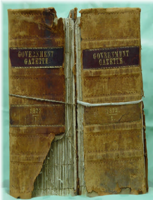 New South Wales Government Gazette 1873 - EBOOK