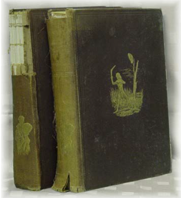 Aborigines of Victoria 1878 - EBOOK