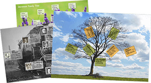 charts-300.jpg charts-300.jpg