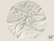 Luxury white mink faux fur Christmas tree skirt with metallic gold leaf patterns beneath an elegant Christmas tree, handmade by SADE New York.