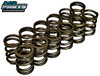 NVP Valve Spring Set | Toyota 1HZ 1HDT