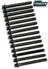 NVP Head Bolt Set | BMW M50 M52