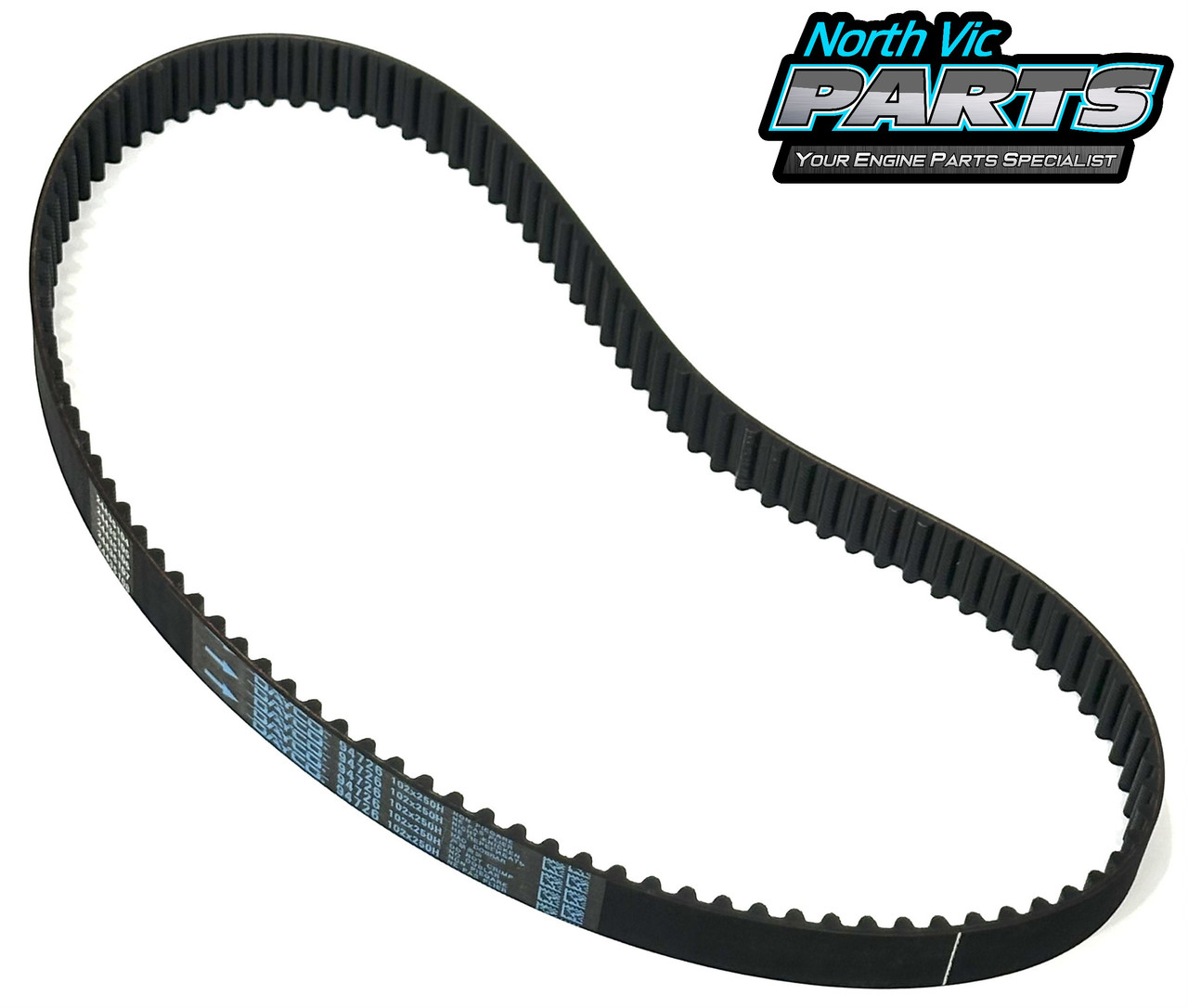 Dayco Timing Belt | Toyota 1KZ-TE