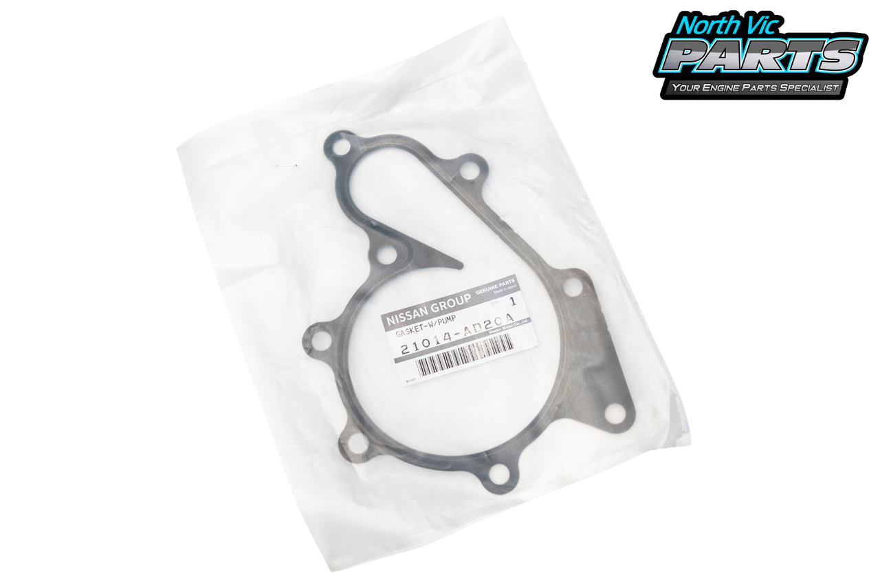 Genuine Water Pump Gasket | Nissan YD25