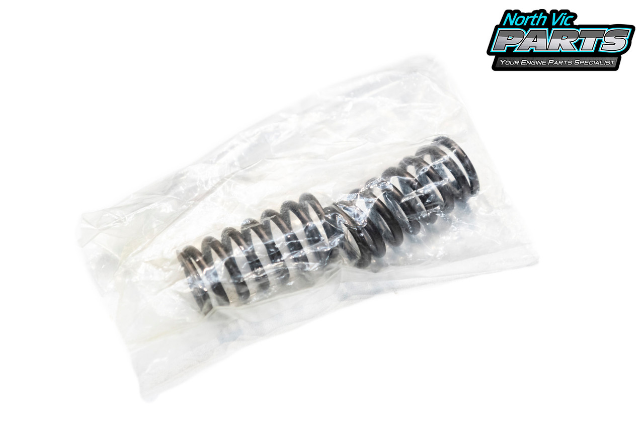 Genuine Valve Spring Outer | Toyota 1HD-FTE