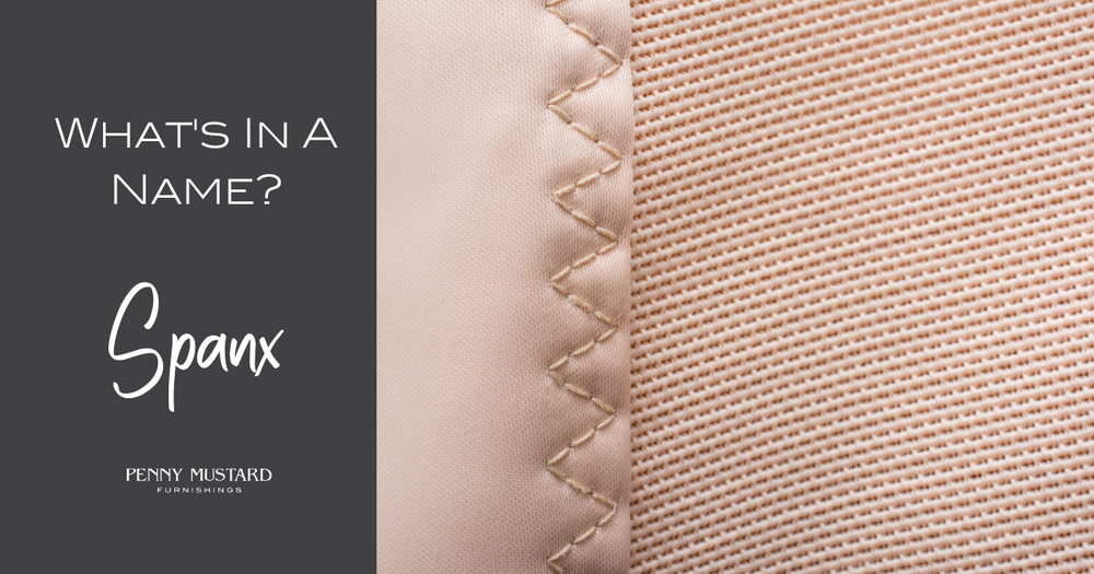 What's in a Name?: Spanx - Penny Mustard Furnishings