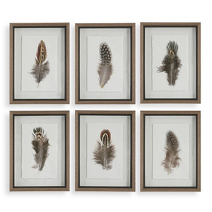 Birds of a Feather Framed Prints - Set of 6