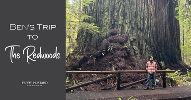 Ben’s Cross-Country Trek to the California Redwoods