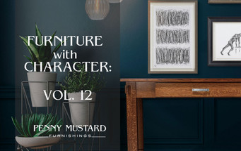 Furniture with Character: Vol 12