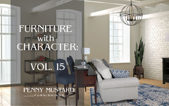 Furniture with Character: Vol 15