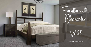 Furniture with Character Vol. 25