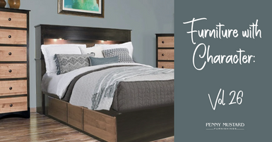 Furniture with Character Vol. 26