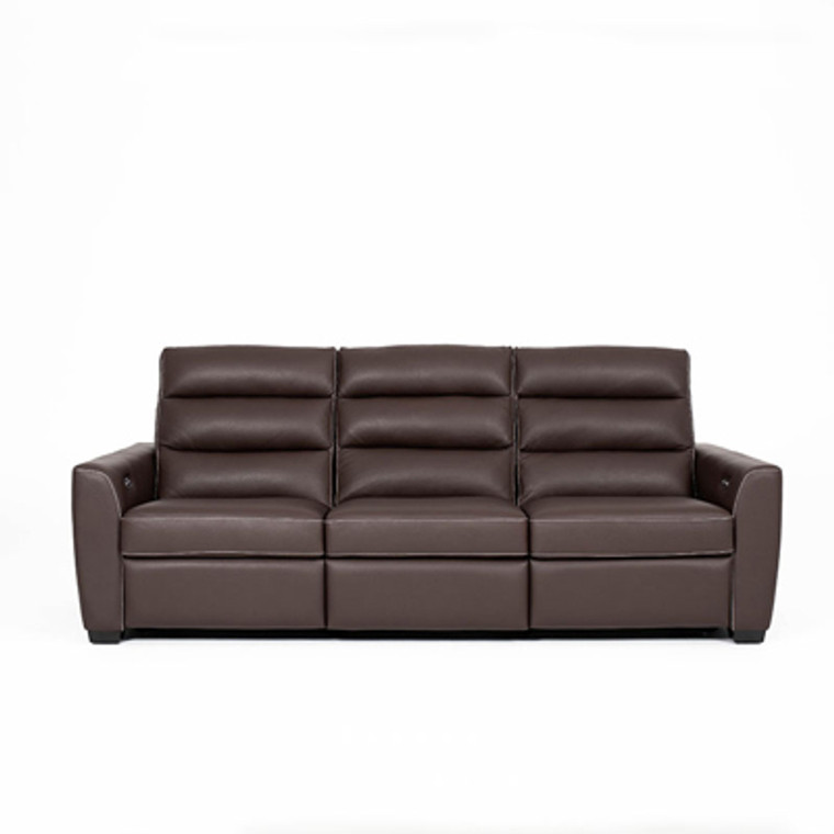 Napa Reclining Sofa in Leather