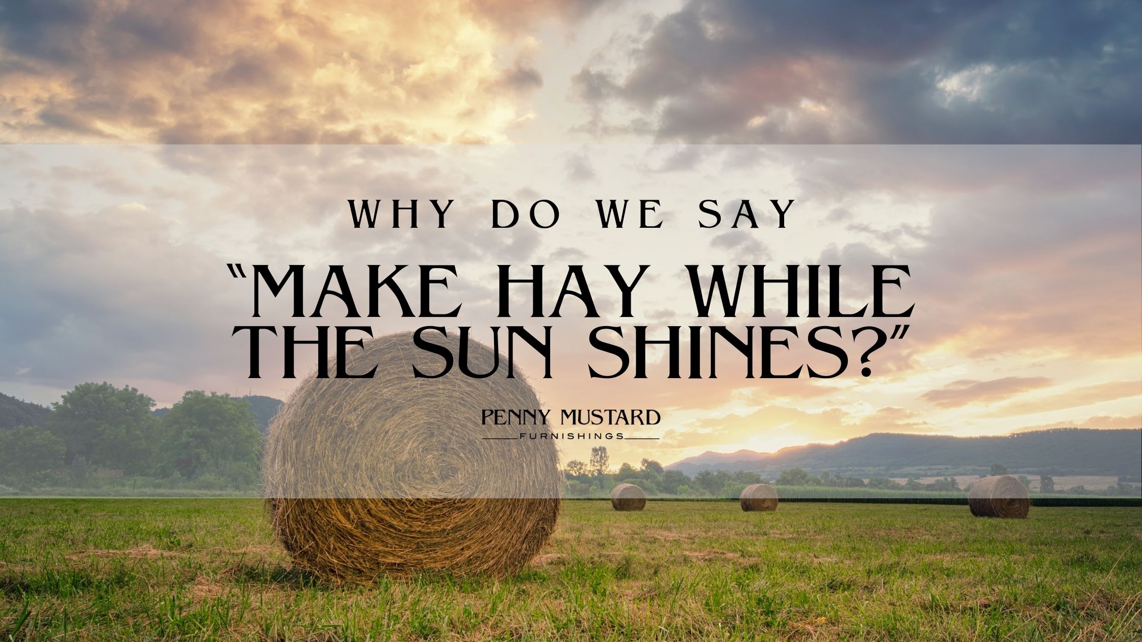 Make hay while the Sun Shines. With the Sun Shining перевод. Hay meaning. Sunshine Policy.