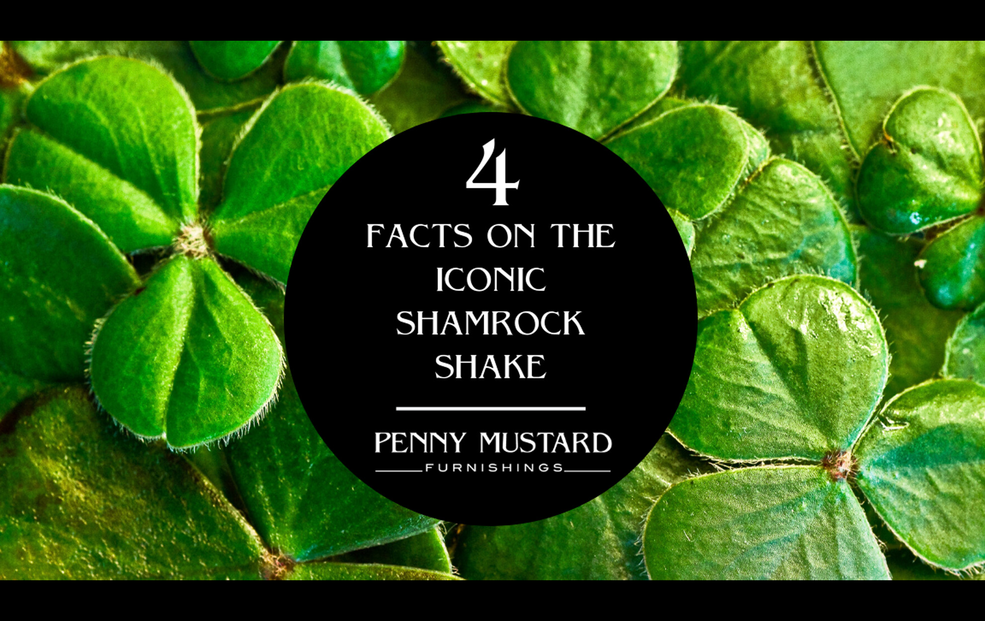 4 Facts on the Iconic Shamrock Shake Penny Mustard Furnishings