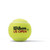 Wilson US Open Official Court Tennis 6 Tubes Extra Duty Premium Pack 24 Balls