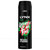 Lynx Africa Body Spray XL Deodorant Deo Aerosol Fresh Scent48Hour Pack 6 x 200ml
