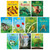Usborne Beginners Nature 10 Books Reptiles Bees Wasps Tree Bugs Ants Box Set