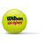 Wilson US Open Official Court Tennis 6 Tubes Extra Duty Premium Pack 24 Balls