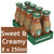 Starbucks Frappuccino Iced Coffee Sweet Creamy Flavour Glass Drink Pack 8x250ml