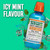 The Breath Co Mouthwash Icy Mint Oral Fresh Mouth Wash Freshness Rinse Pack 2x1L
