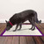 Simple Solution All Day Premium Dog Pads 6Layers Leak Absorbency Pack 100 Sheets