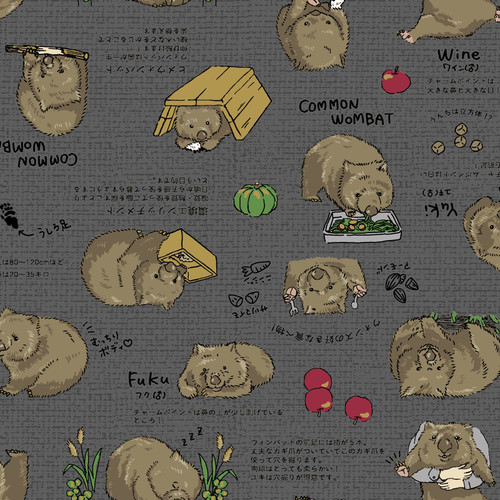 WOMBATS AP62901 E OXFORD
