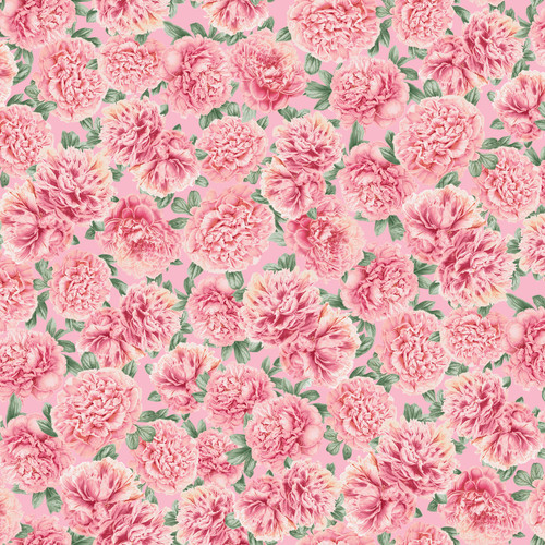 PEONY HILL PHIL 6533 PINK