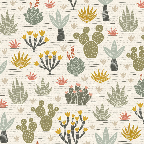 DESERT TEXTURES 229604 ORG