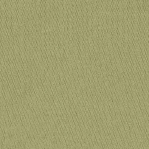 CAMBRIDGE CANVAS SOL SAGE MIST  67/68"