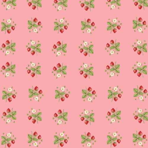 STRAWBERRY WITH CREAM C28086 2