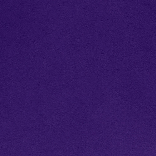QLT CUDDLE SOL PURPLE
