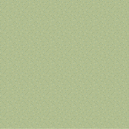 COUNTRY CONFETTI CC 20241 COUNTRY CACTUS