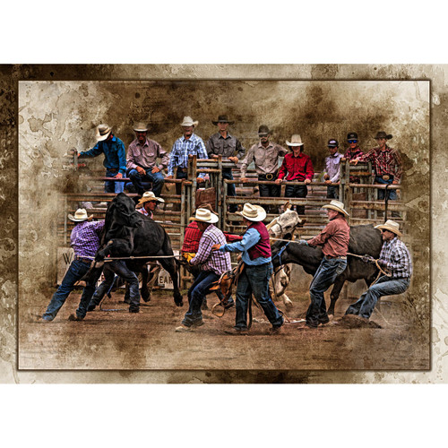 RANCH RODEO CHAOS PNL 21"x15"