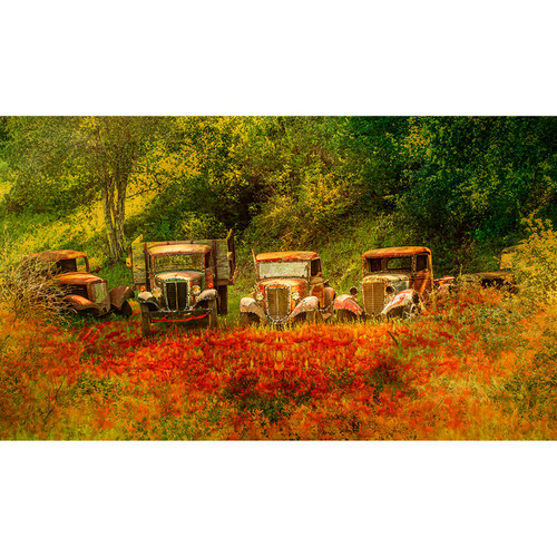 FIELD OF TRUCKS PNL 24"x14"