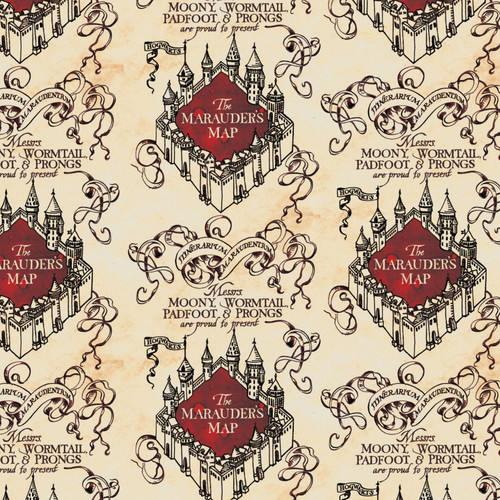 WIZARDING WORLD 23800176A 1 FLC HARRY POTTER 60"