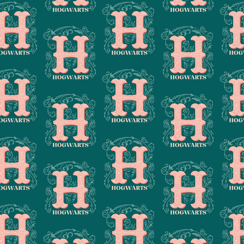 HP STAND TOGETHER 23800799 01 HARRY POTTER