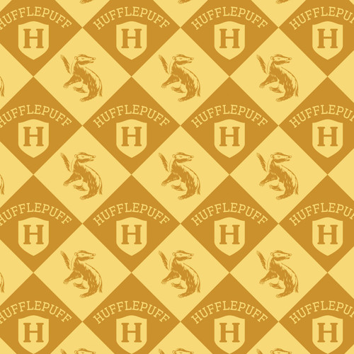 HP HOUSE CHAMPIONS 23800946 01
