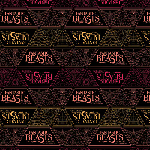 WIZARDING WORLD 23900105 01 FANTASTIC BEASTS