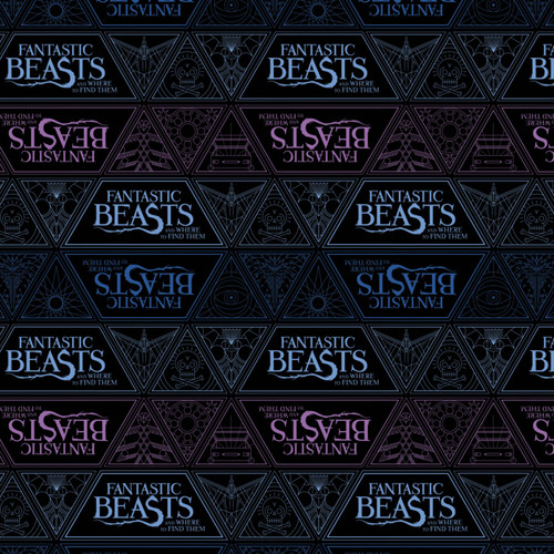 WIZARDING WORLD 23900105 02 FANTASTIC BEASTS