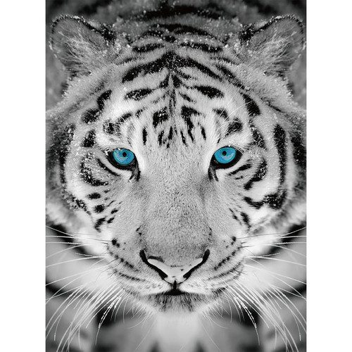 SILVER TIGER - INTERMEDIATE DIAMOND PAINTING KIT