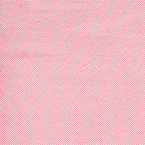 NYLON TULLE AMERICAN BEAUTY 54"