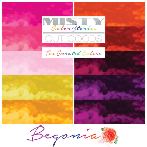 CHARM PK 5" MISTY BEGONIA (42) PK OF 12 EA